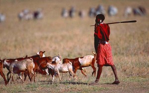 Masai_Herdsmen