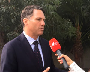 Richard Marles
