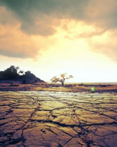 Climate change now a factor in migration