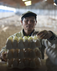 Media Release: Safe haven visas offer hope to asylum seekers