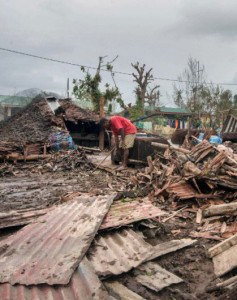 Climate change refugees out on a limb  