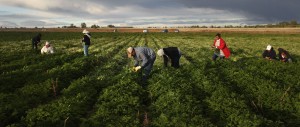 Migration could help fix economic basket cases