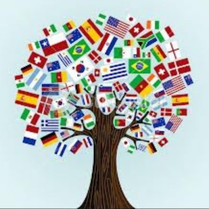 Australians uncomfortable with community languages – academic