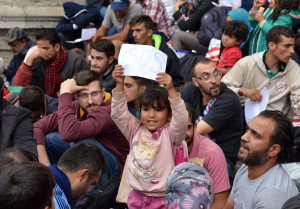 Quiz highlights the refugee dilemma