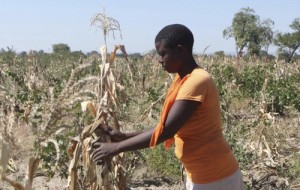Southern Africa facing food crisis