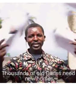 Africa ‘rescues’ Danish elderly in satirical video