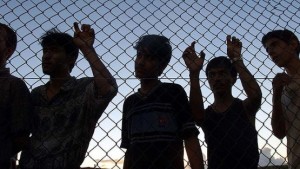 Refugee psychosis risk identified