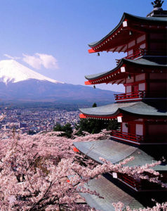 Japanese starting debate around migration