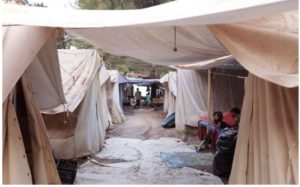 Refugees advertise tent on Airbnb
