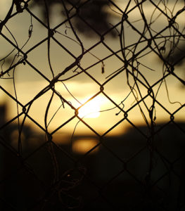 Fast tracking asylum claims makes economic sense – study