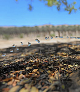 Water scarcity could trigger more refugee crises – World Bank