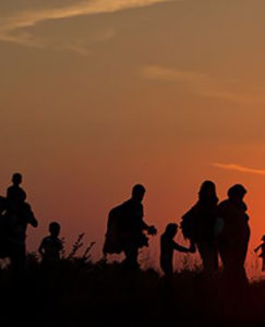 Global migration climbing – snapshot study finds