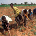 Rural poverty driving migration – FAO report
