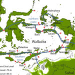 First Australians arrived in planned mass migration – study