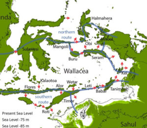 First Australians arrived in planned mass migration – study