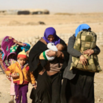 New focus on IDPs