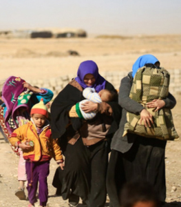 New focus on IDPs