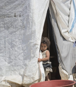 Rate of refugee displacement rising – UN report
