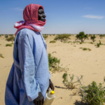 Mapping environmentally driven migration