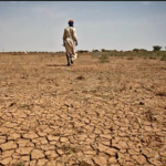 Climate change means conflict and migration – UN expert