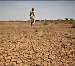 Climate change means conflict and migration – UN expert