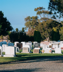 Cemeteries important to migrants – study finds