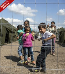 Refugee intakes fall as economic migration booms – OECD