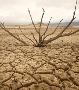 Pakistan on the frontline of climate-driven migration