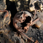 Early North Americans were more diverse than we thought