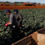 Temporary migration and global people movement – opinion