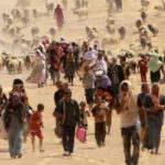 Climate game throws light on migration dynamics