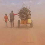 Film a tool for promoting understanding of migrants, refugees