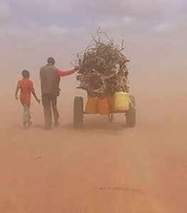 Film a tool for promoting understanding of migrants, refugees