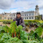 Famous flowerbeds feeding needy families