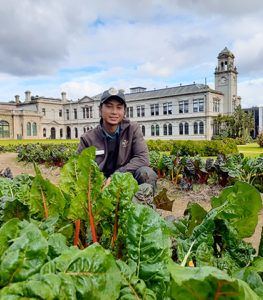 Famous flowerbeds feeding needy families