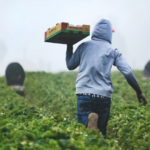 New protections for migrant and refugee workers