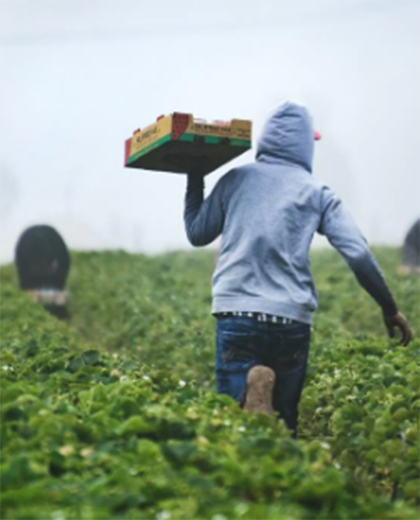 New protections for migrant and refugee workers
