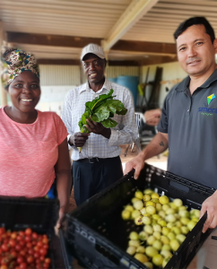 African garden in the heart of Mildura