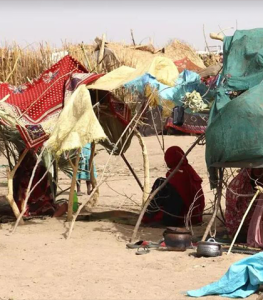 Is the right to asylum disappearing?