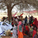 Sudan conflict driving new humanitarian crisis