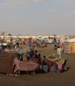 Sudan humanitarian crisis deepening – UNHCR