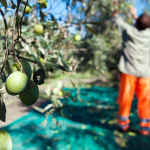 How to end the exploitation of migrant workers