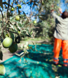 How to end the exploitation of migrant workers