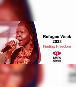 The Global Displacement Crisis