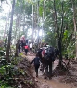 Darien gap crossings a humanitarian crisis