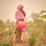 War, drought brings hunger to Ethiopia
