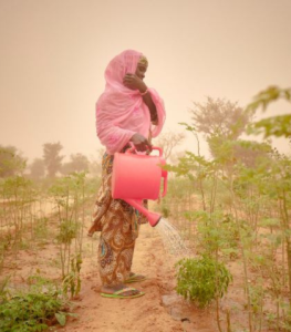 War, drought brings hunger to Ethiopia