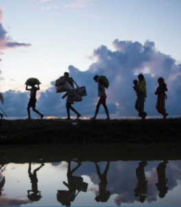 Images tell migrant stories