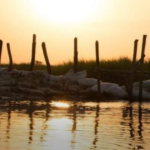 Climate driven migration a rising fear – report