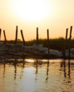 Climate driven migration a rising fear – report